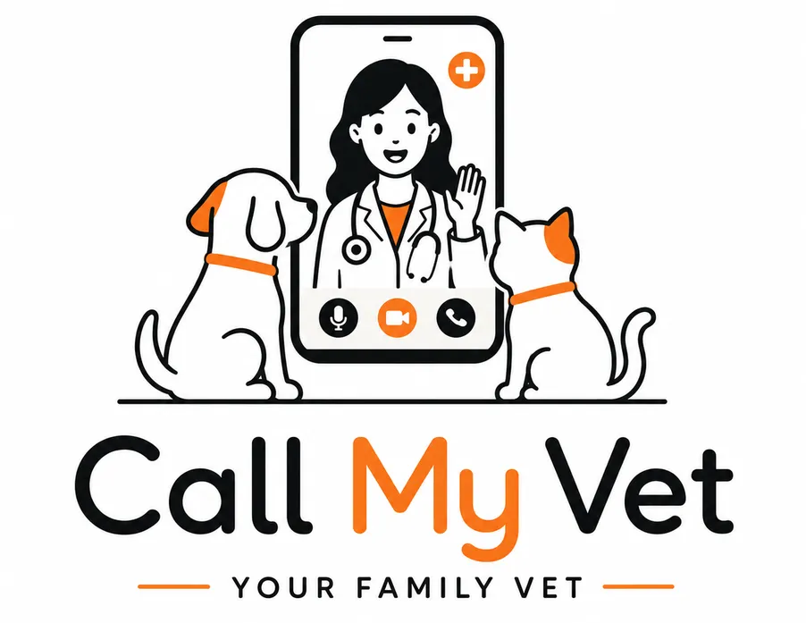 How to care your pet